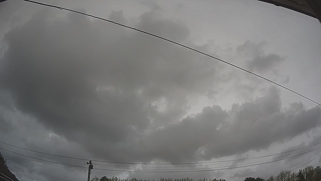20260817_125416_cam2.jpg