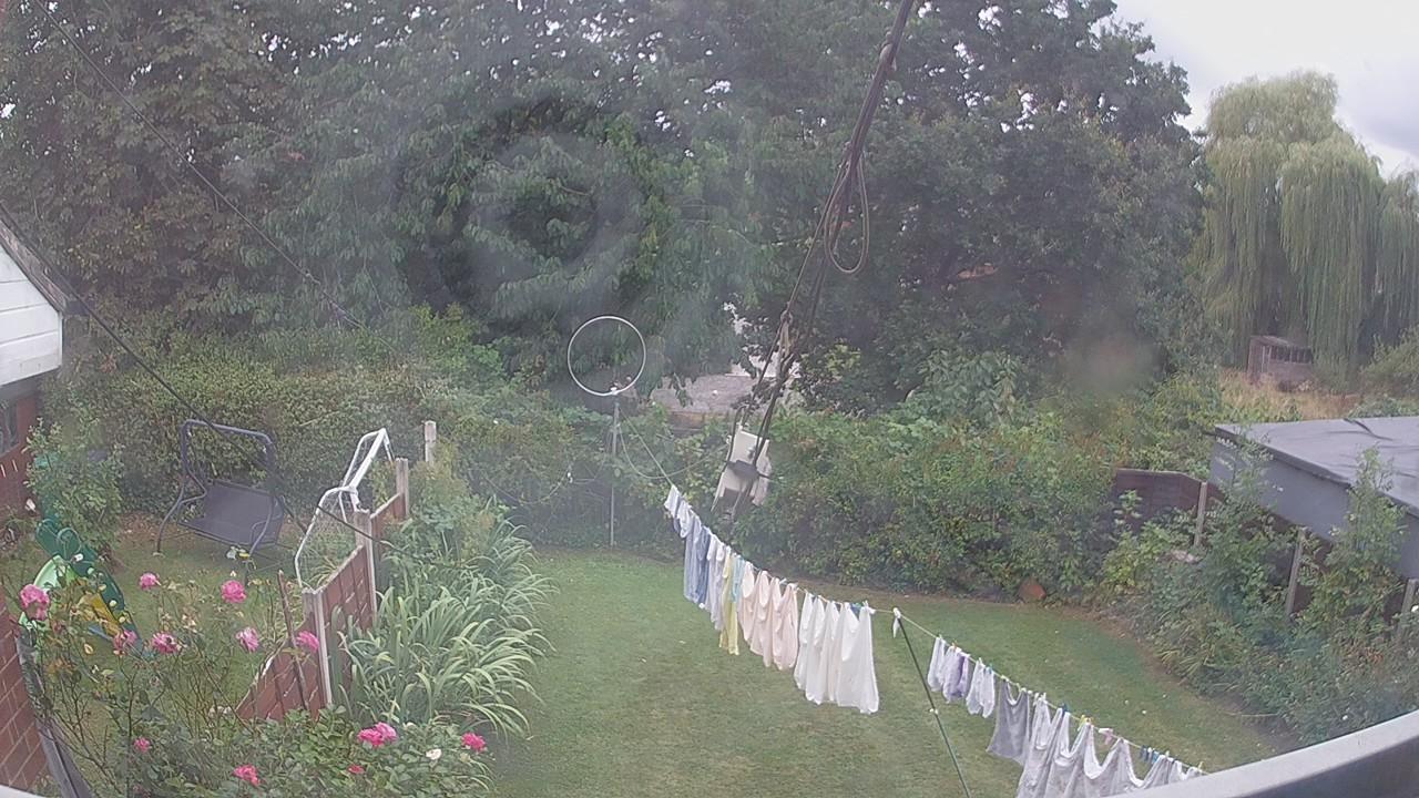 20260817_131049_cam1.jpg