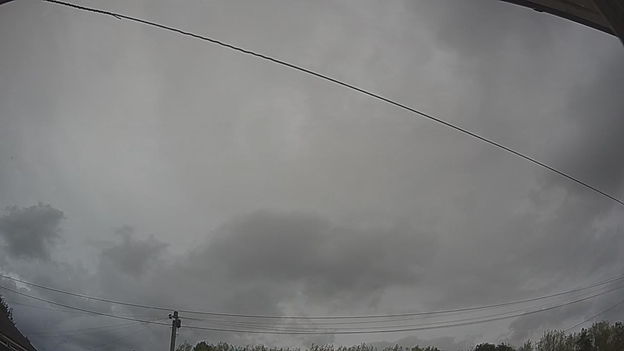 20260817_131050_cam2.jpg