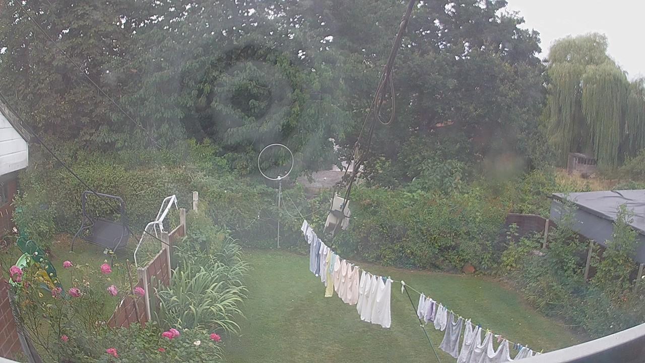 20260817_133805_cam1.jpg