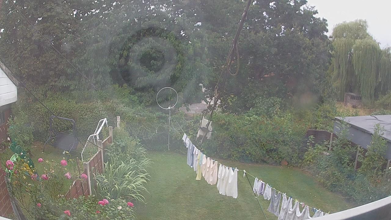 20260817_134139_cam1.jpg
