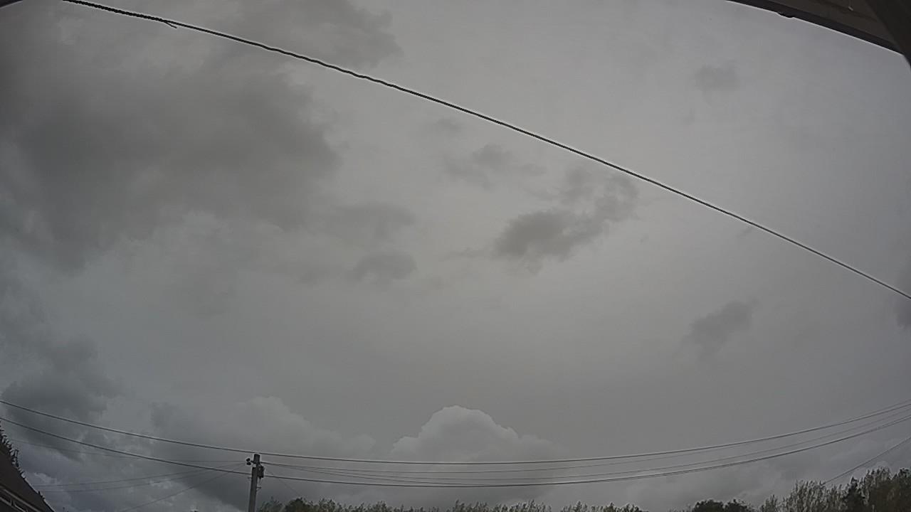 20260817_135221_cam2.jpg