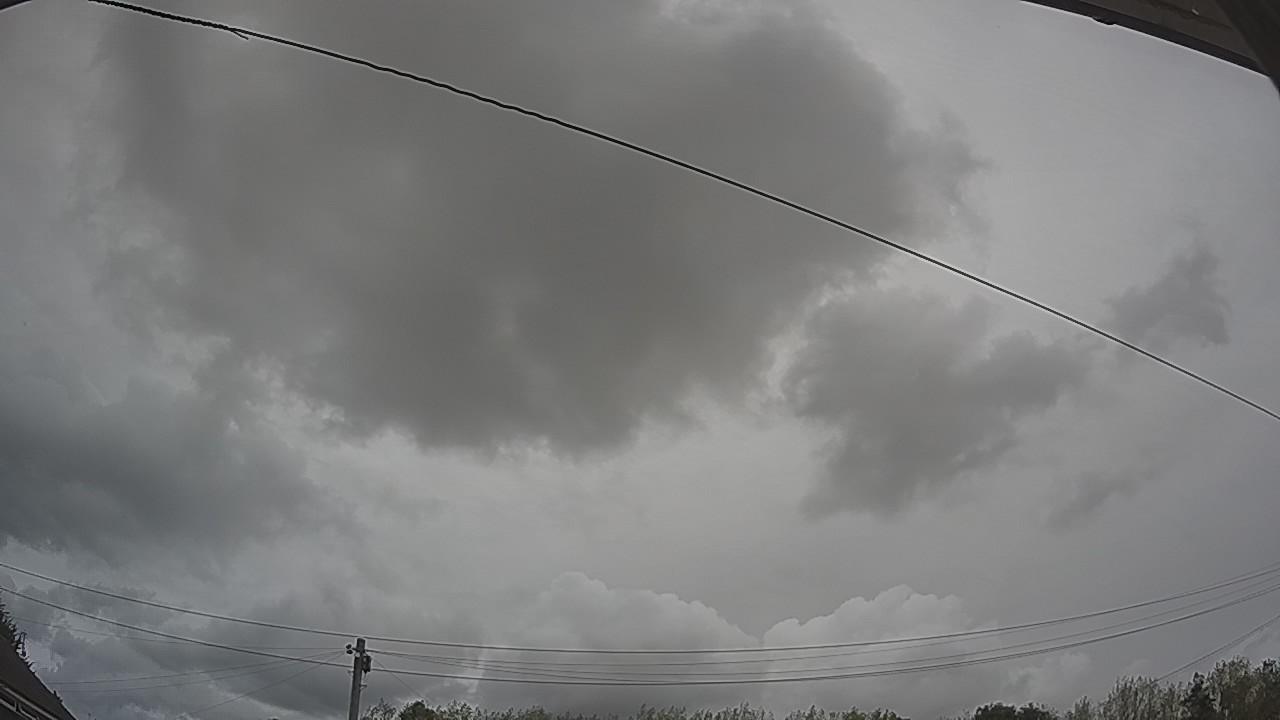 20260817_135554_cam2.jpg