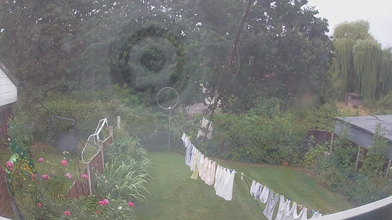 20260817_140354_cam1.jpg