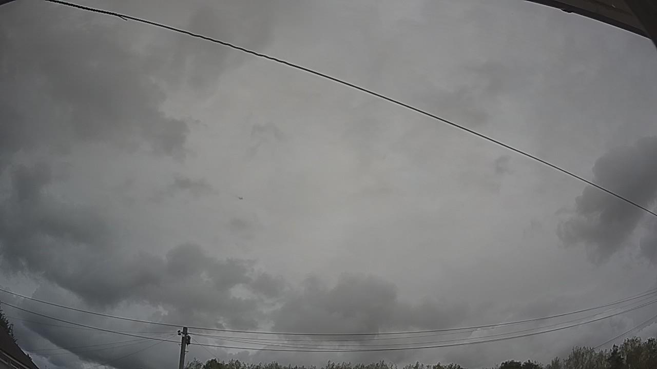 20260817_140355_cam2.jpg