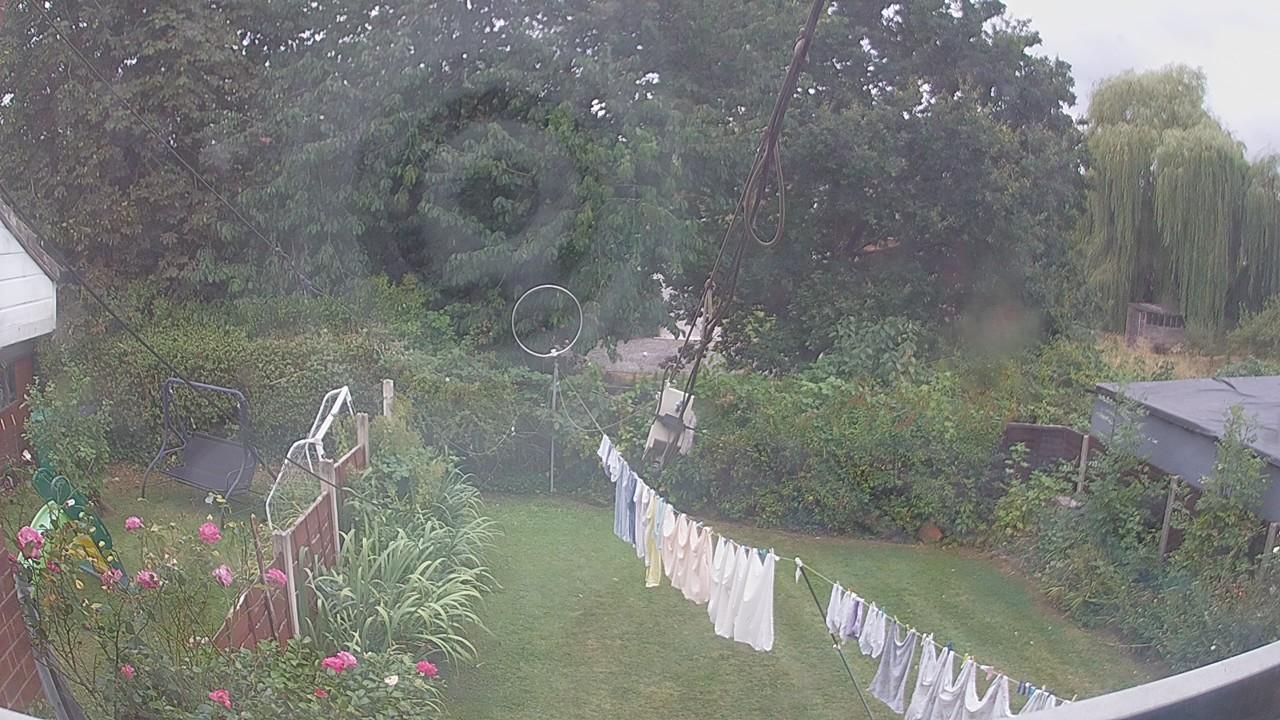 20260817_141956_cam1.jpg