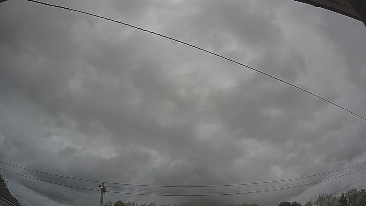 20260817_143539_cam2.jpg