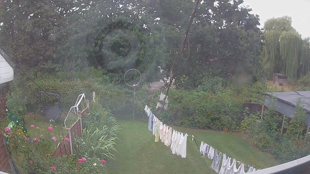 20260817_145103_cam1.jpg