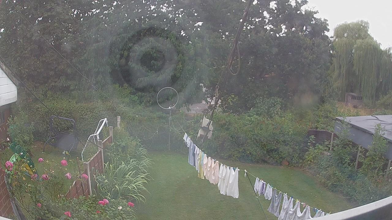 20260817_150236_cam1.jpg