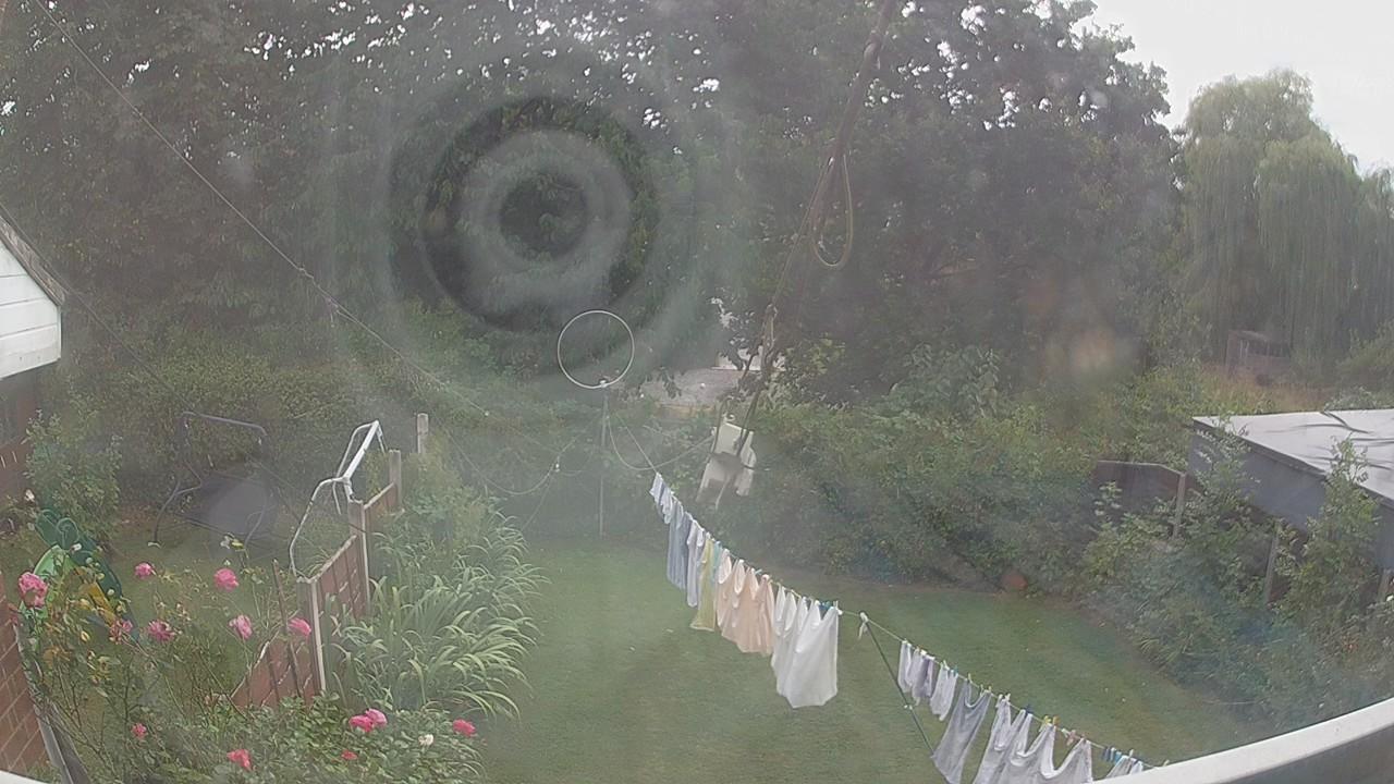 20260817_155339_cam1.jpg
