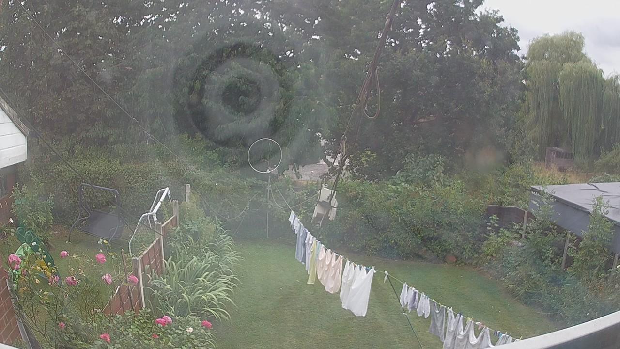 20260817_160122_cam1.jpg