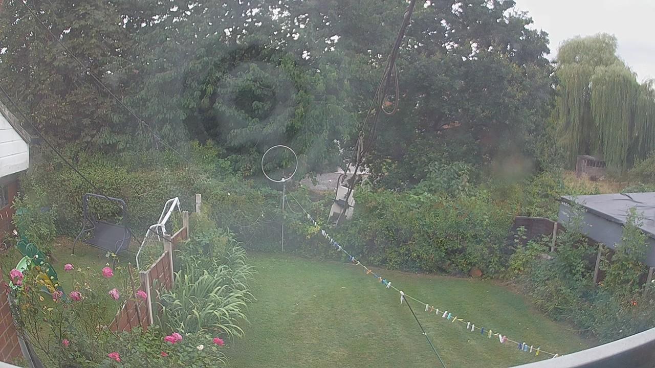 20260817_172232_cam1.jpg