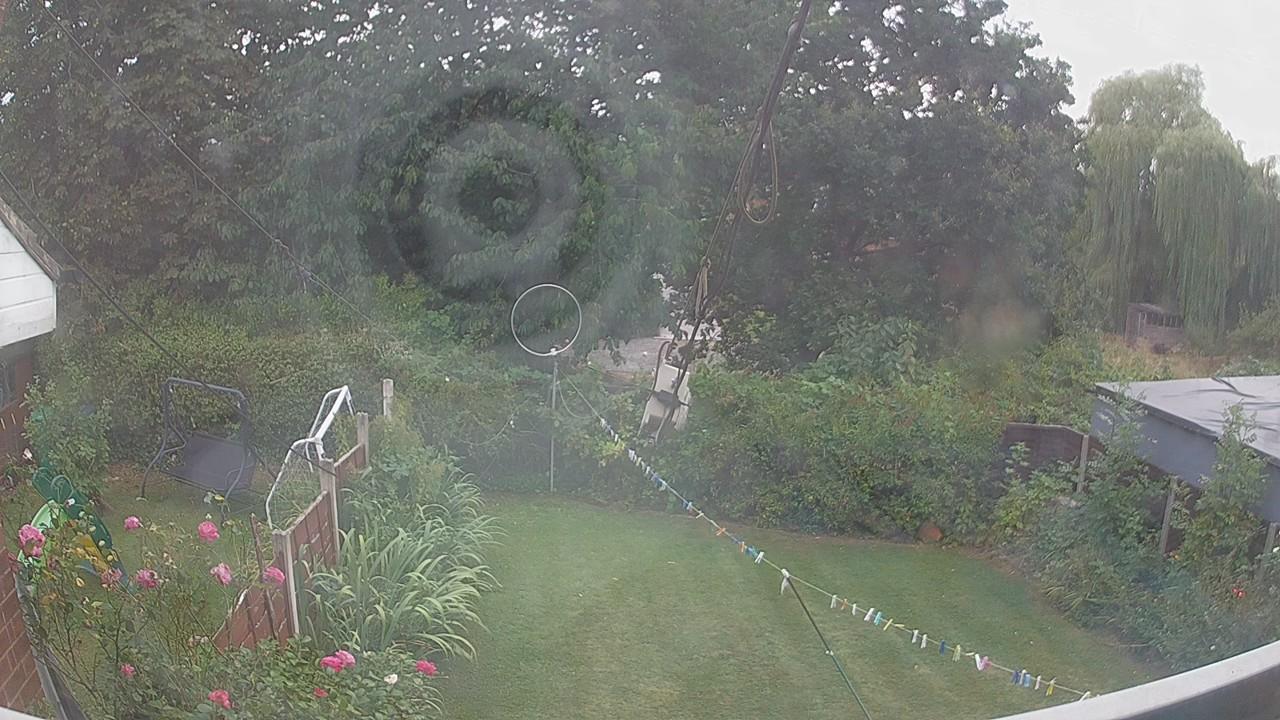 20260817_174622_cam1.jpg