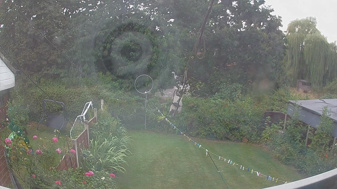 20260817_175022_cam1.jpg