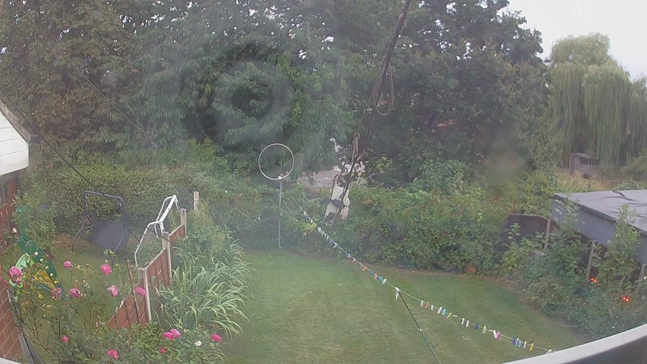 20260817_184835_cam1.jpg