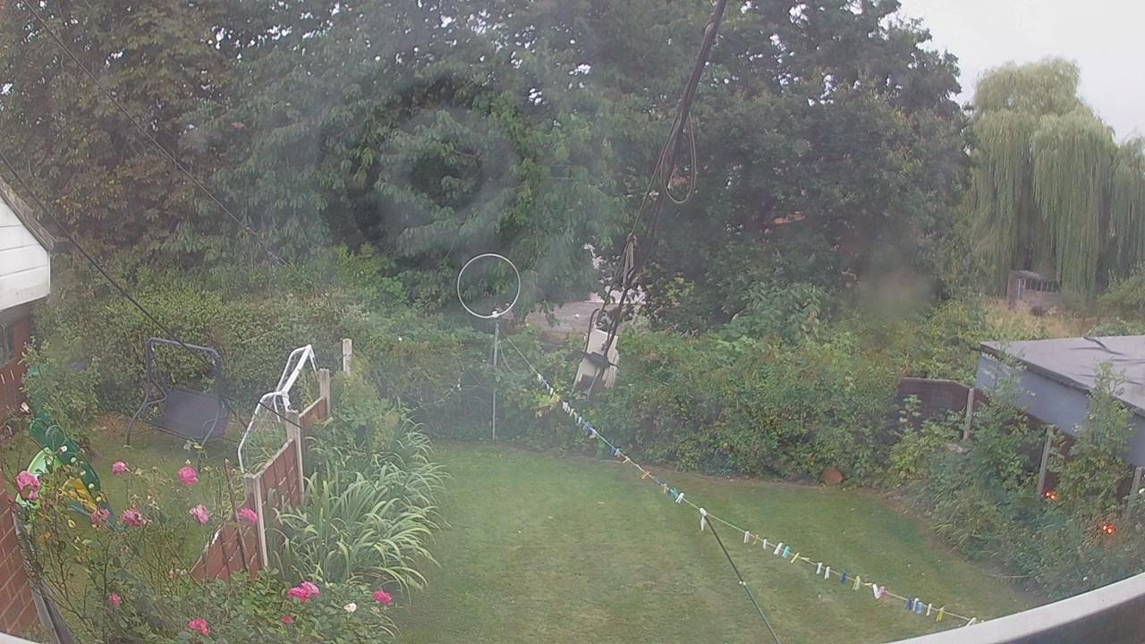 20260817_185302_cam1.jpg