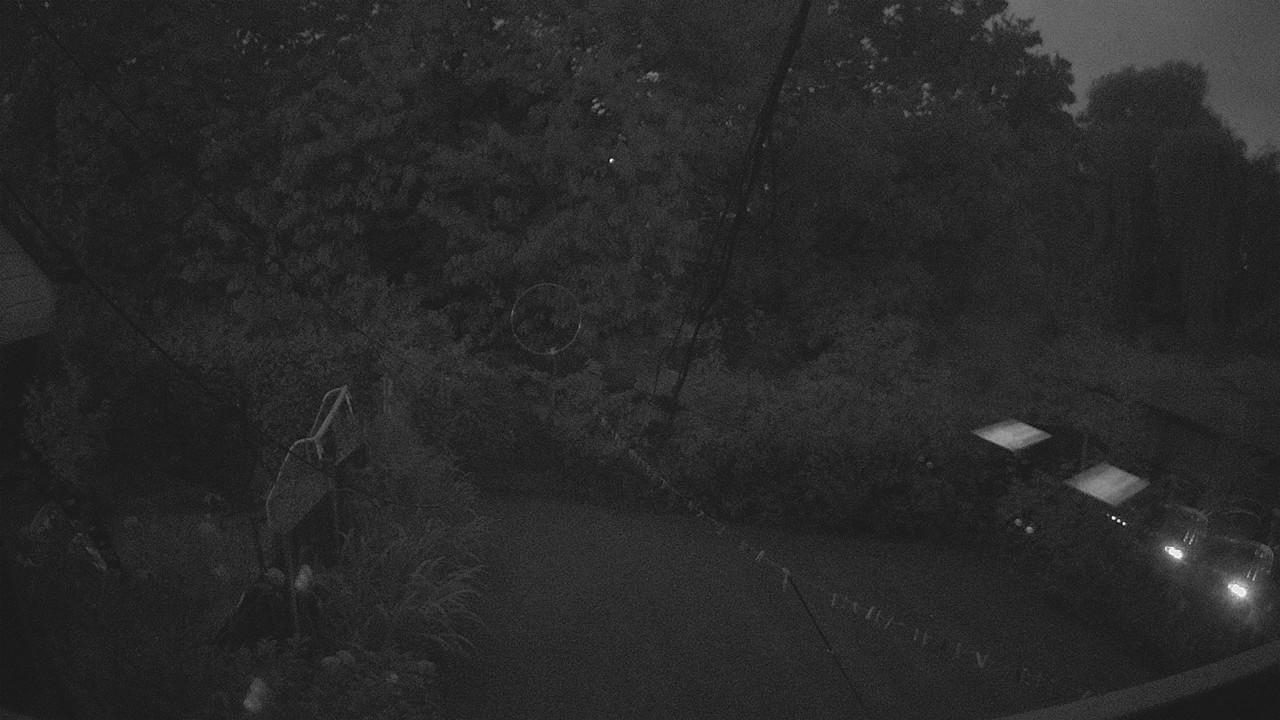 20260817_200348_cam1.jpg