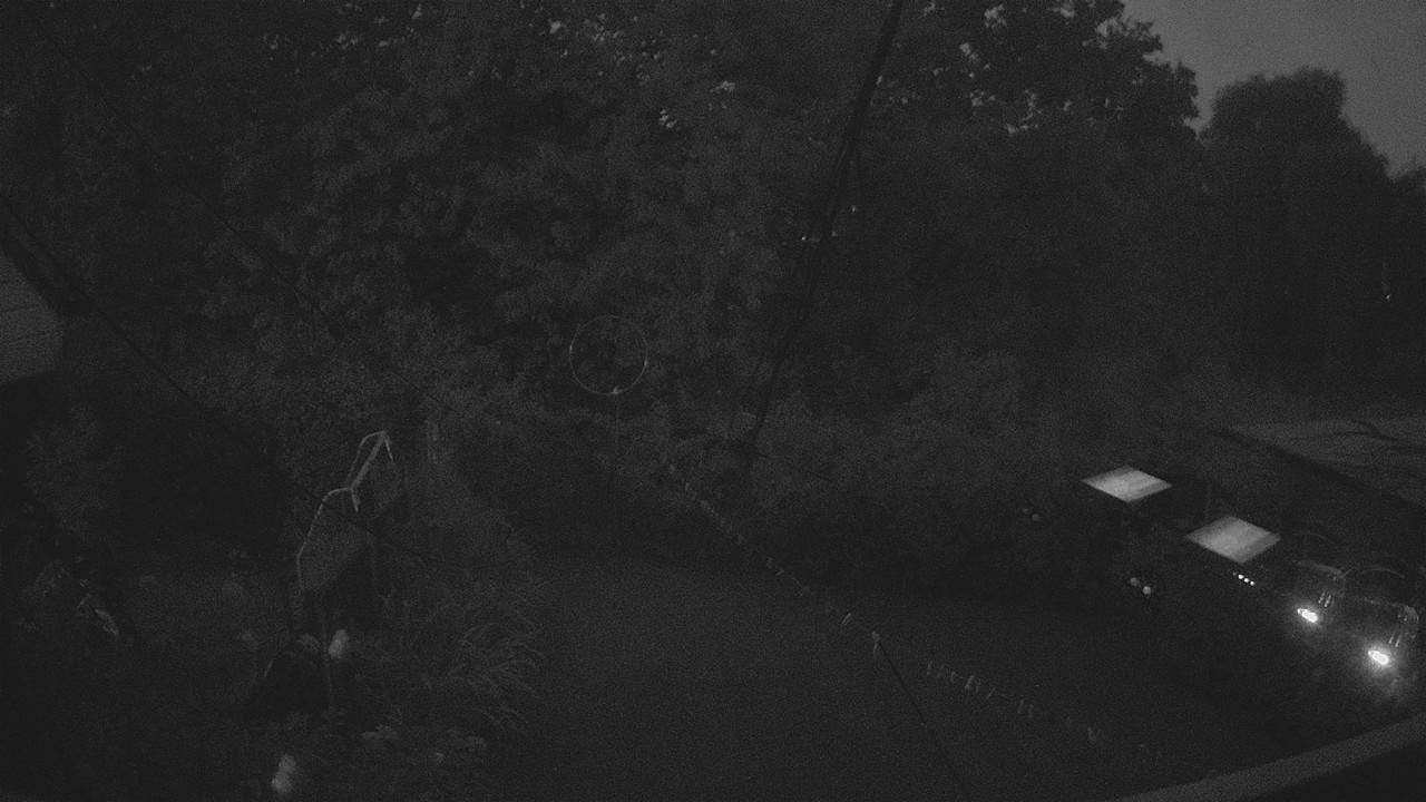 20260817_200805_cam1.jpg