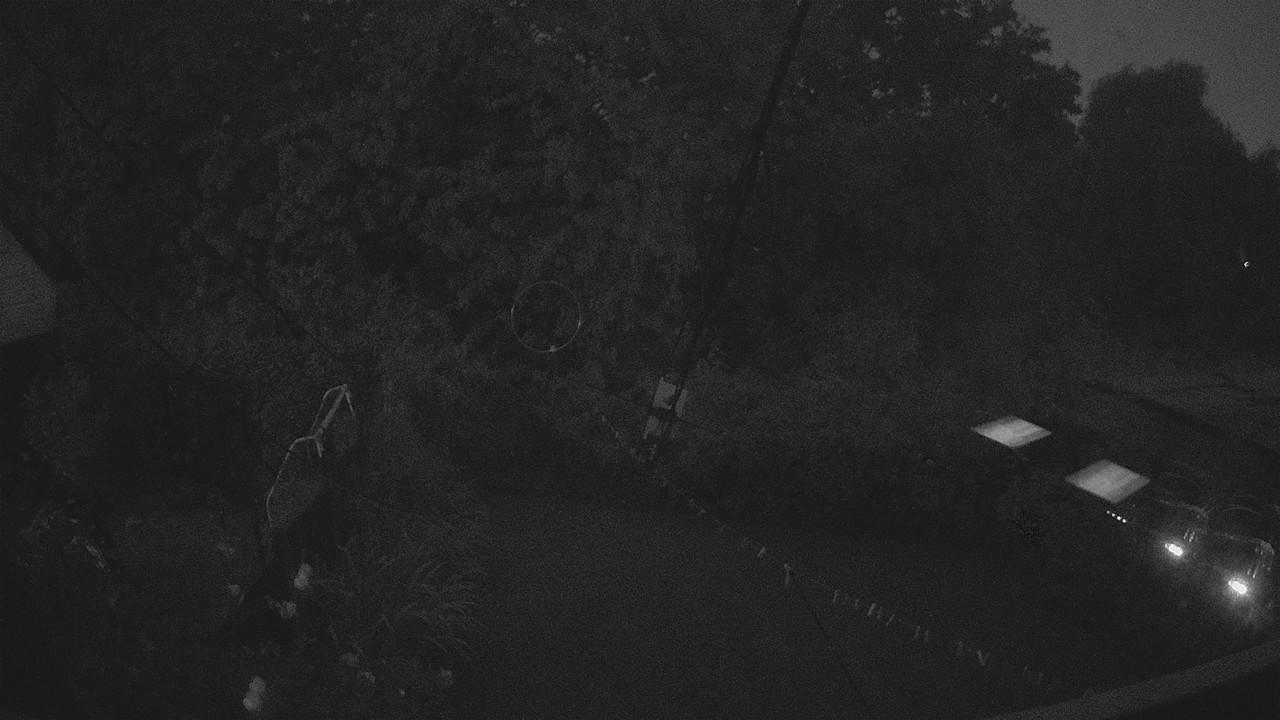 20260818_041617_cam1.jpg