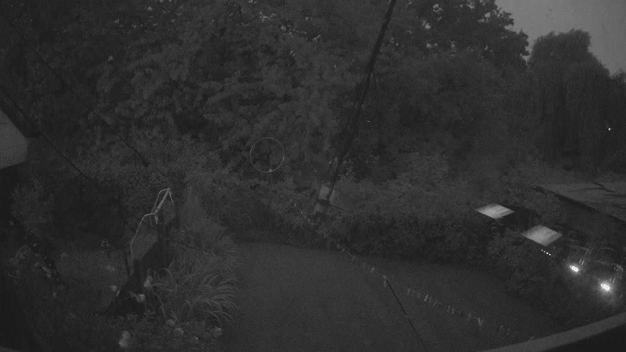 20260818_042358_cam1.jpg