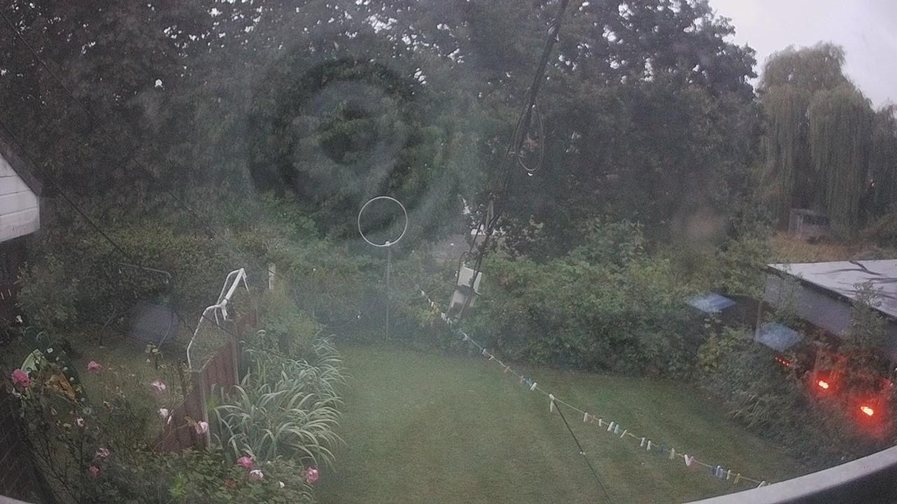 20260818_044312_cam1.jpg