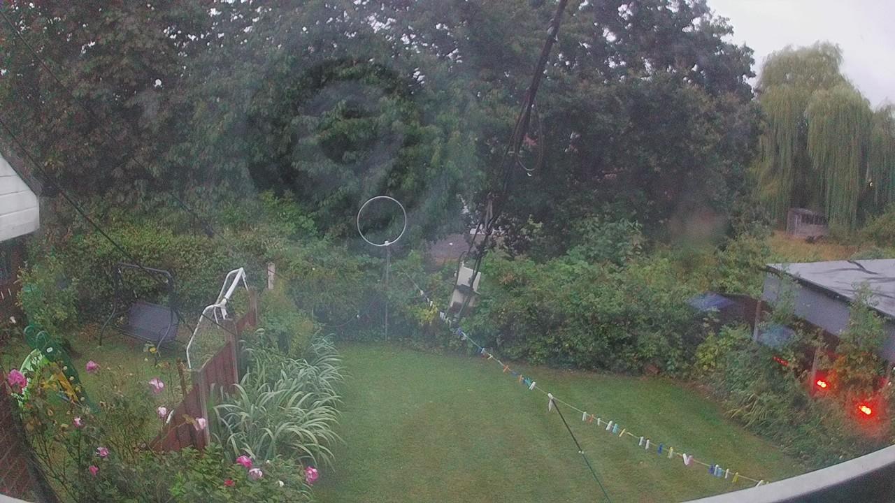 20260818_044703_cam1.jpg