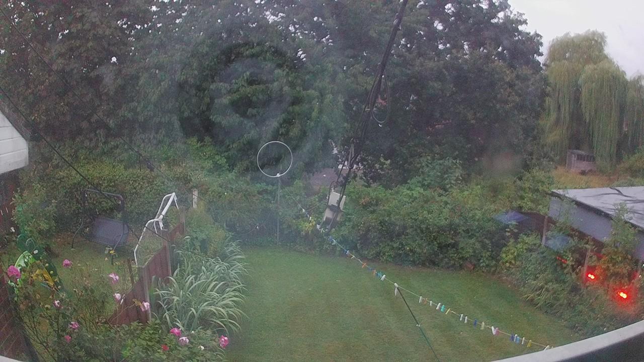 20260818_045054_cam1.jpg