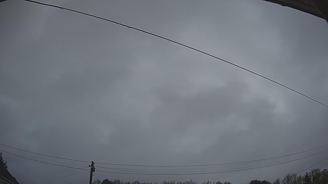 20260818_045055_cam2.jpg