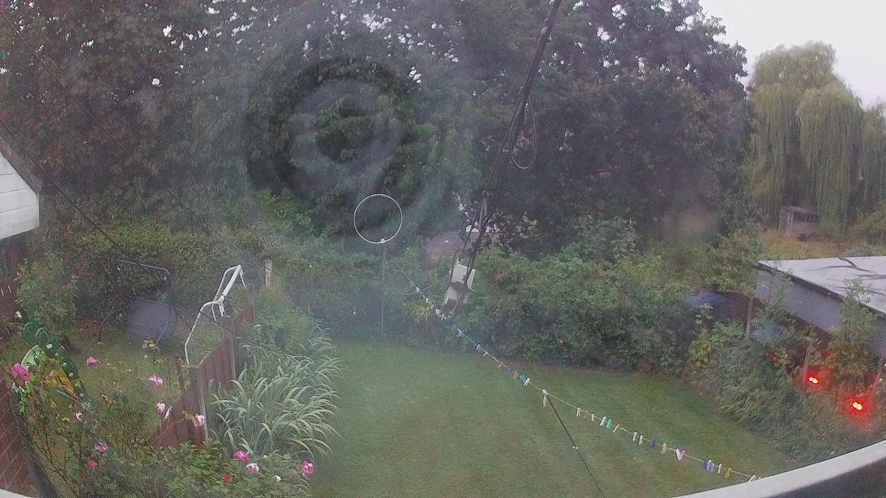 20260818_045444_cam1.jpg