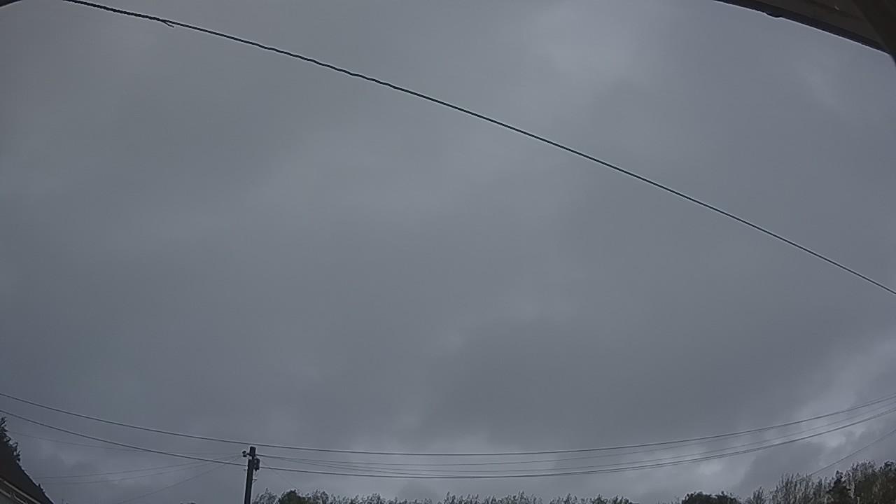 20260818_045445_cam2.jpg