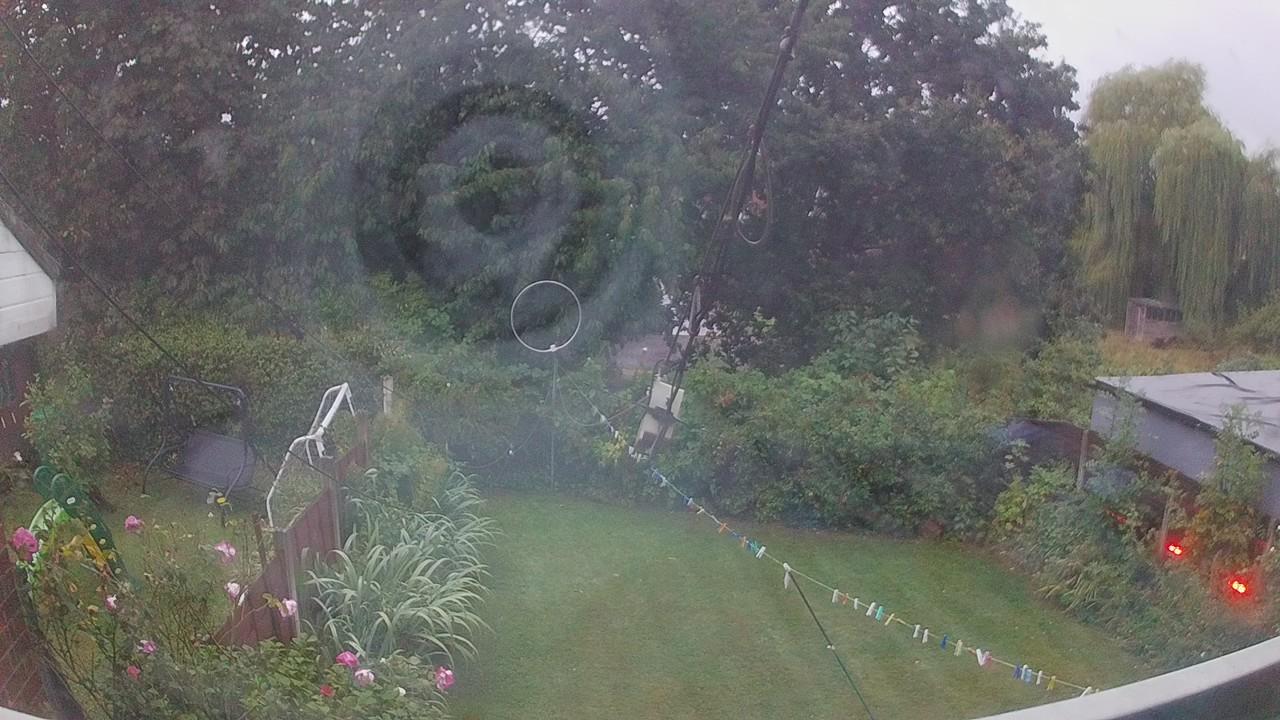 20260818_045826_cam1.jpg