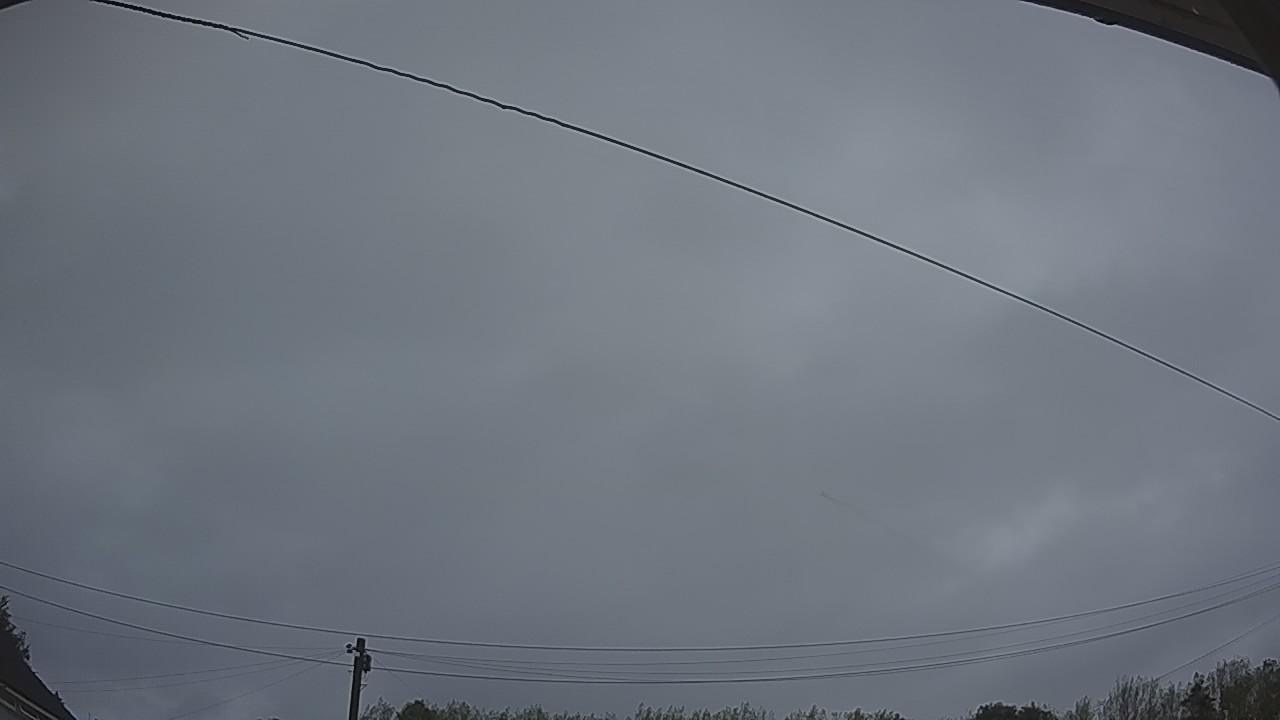 20260818_045827_cam2.jpg