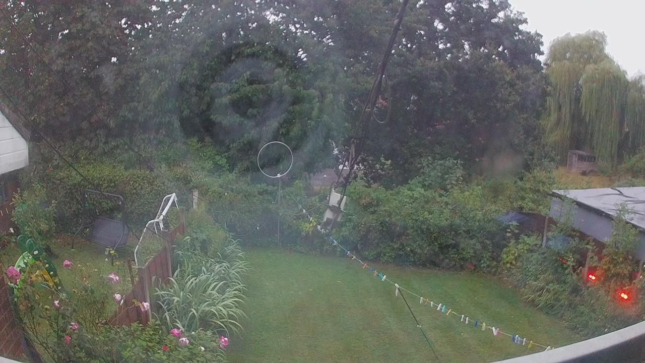 20260818_050208_cam1.jpg