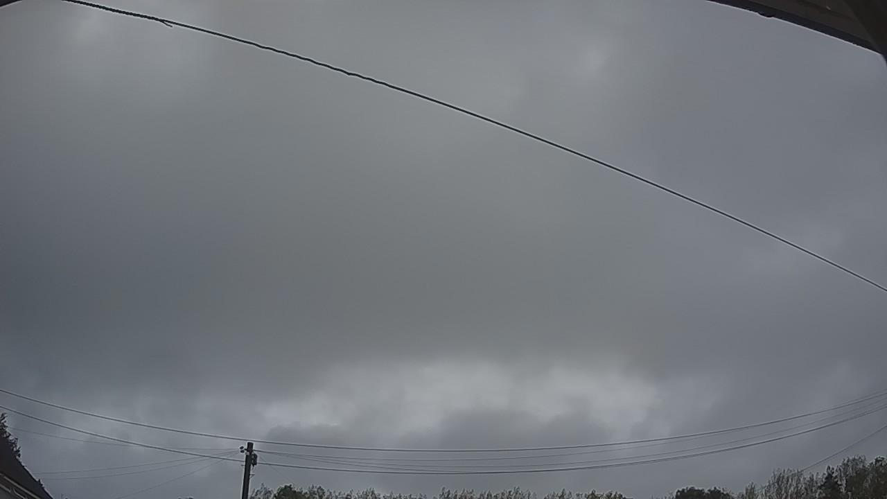 20260818_050209_cam2.jpg