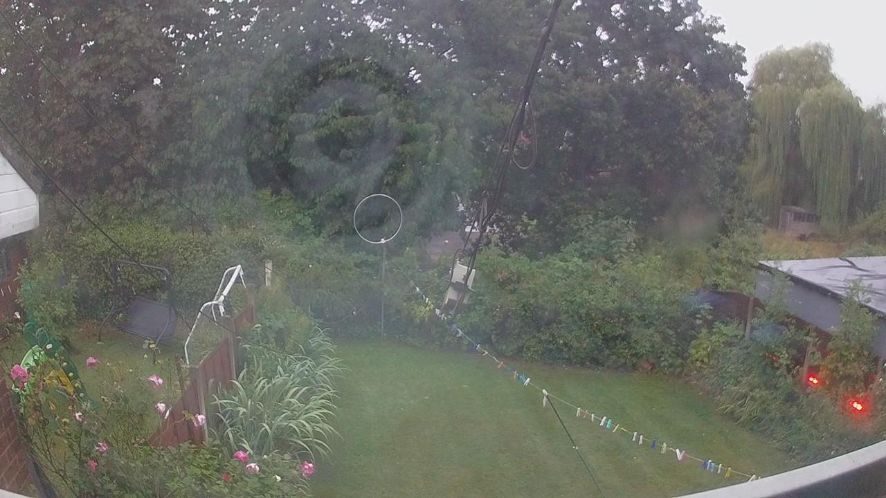 20260818_050550_cam1.jpg