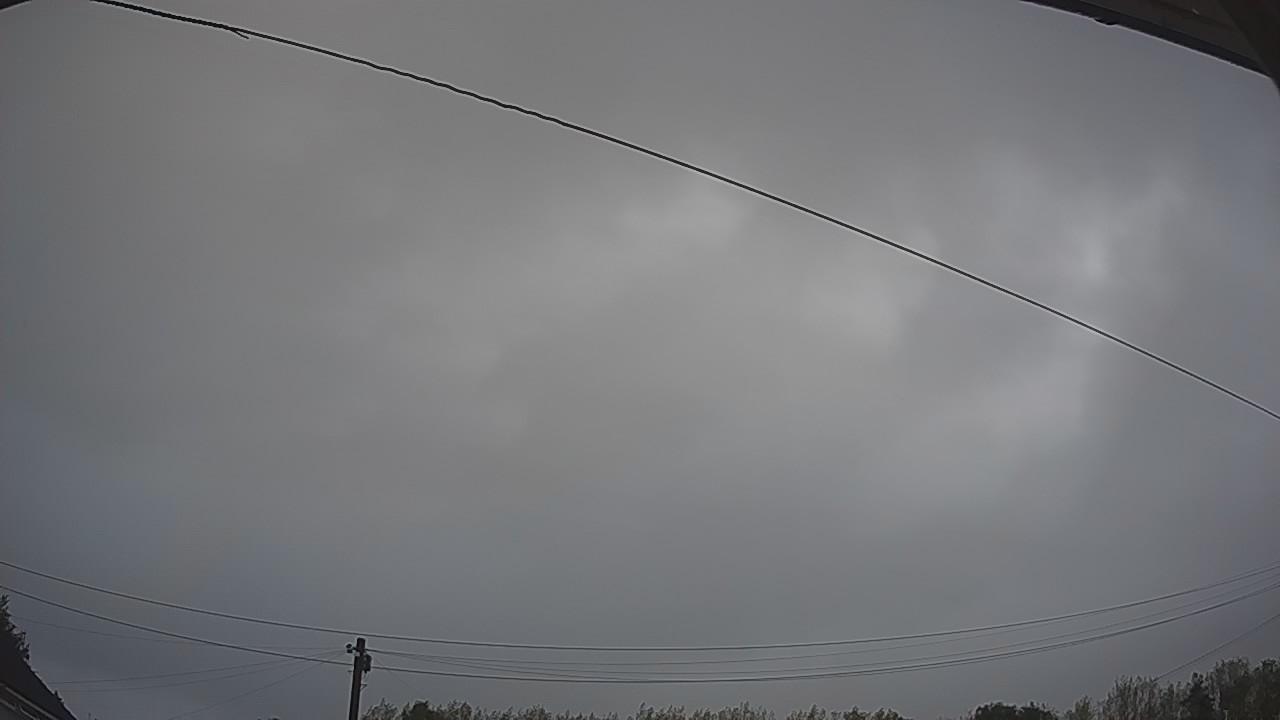 20260818_050551_cam2.jpg