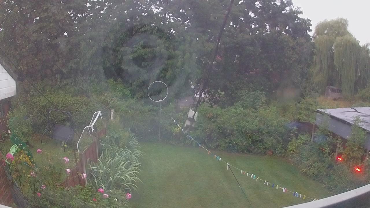 20260818_050932_cam1.jpg