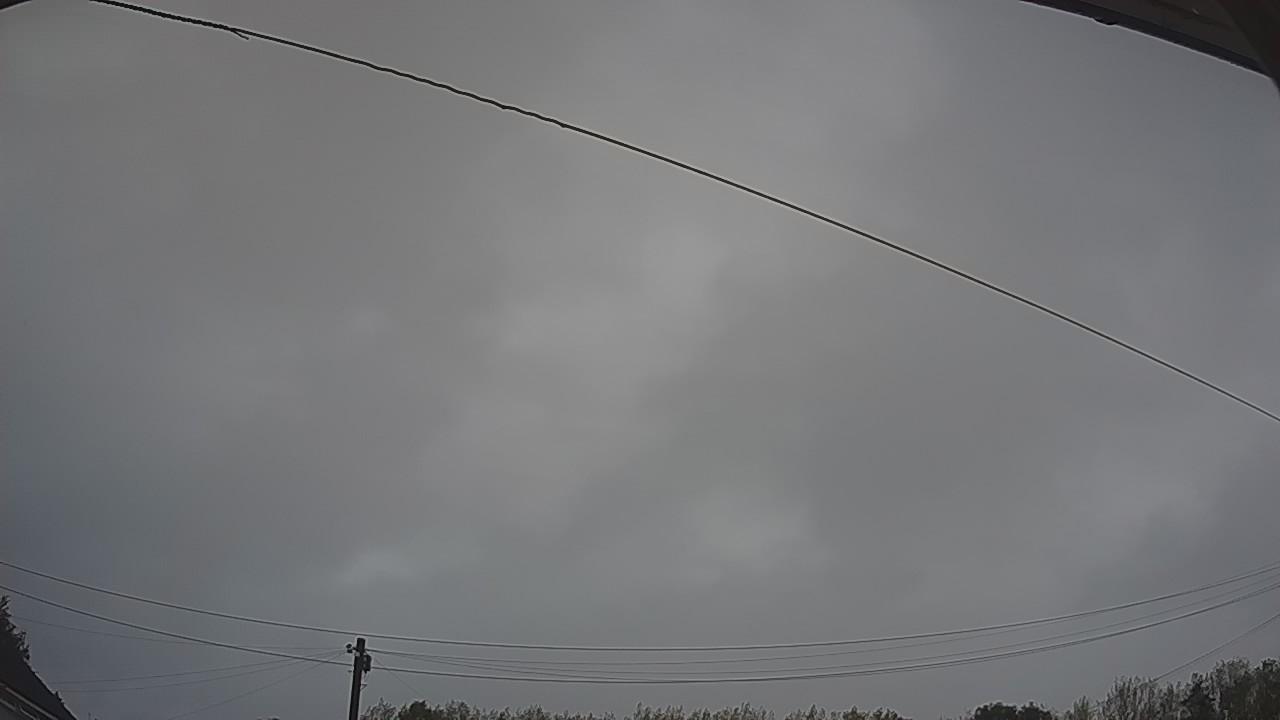 20260818_050933_cam2.jpg
