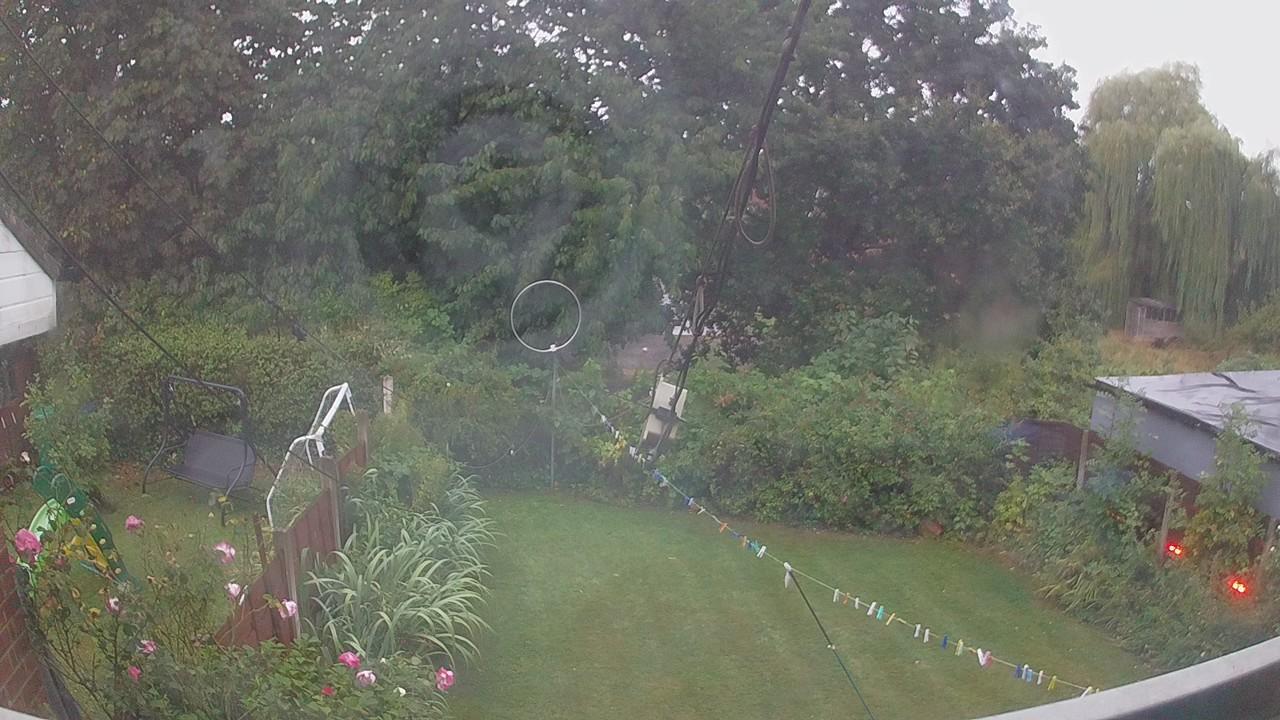 20260818_051314_cam1.jpg