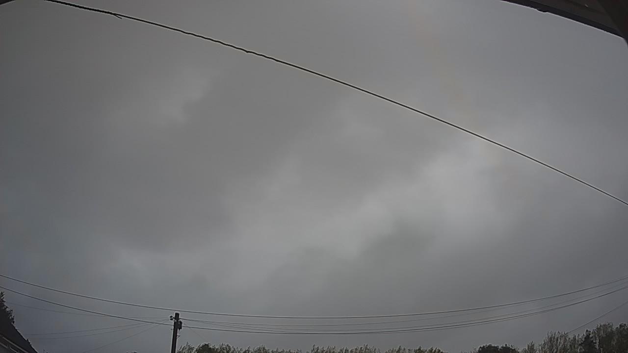 20260818_051315_cam2.jpg