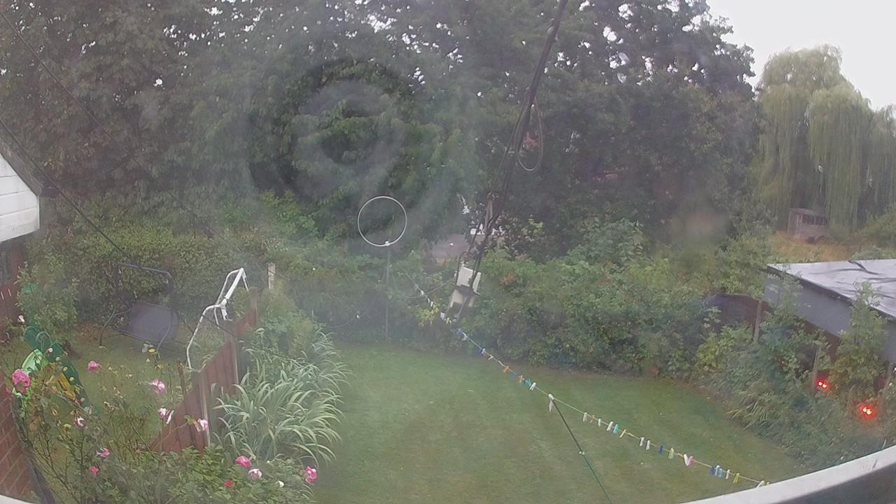 20260818_051656_cam1.jpg