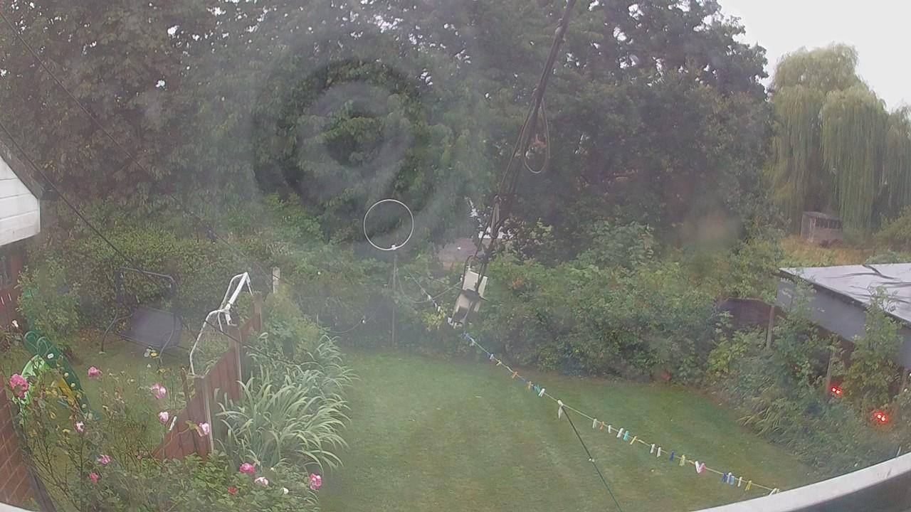 20260818_052038_cam1.jpg
