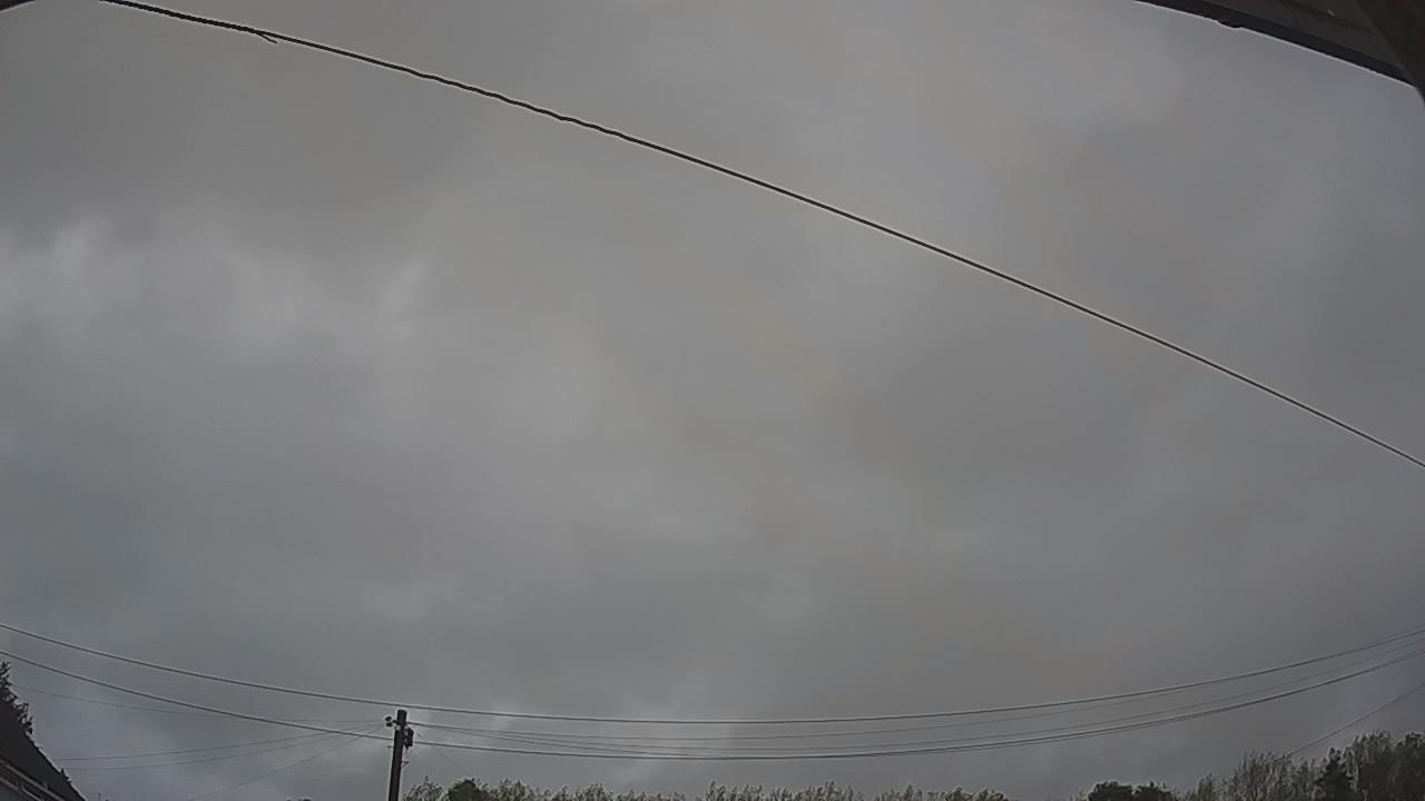 20260818_052039_cam2.jpg