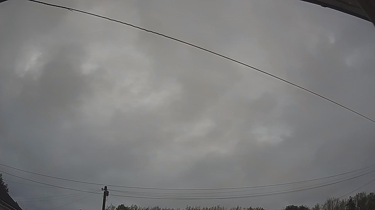 20260818_052421_cam2.jpg