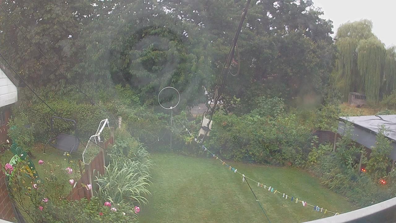 20260818_052802_cam1.jpg