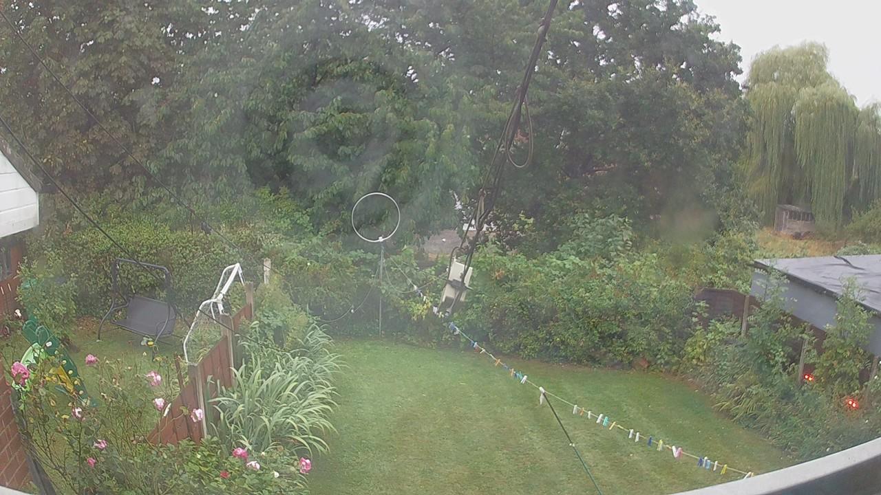 20260818_053144_cam1.jpg