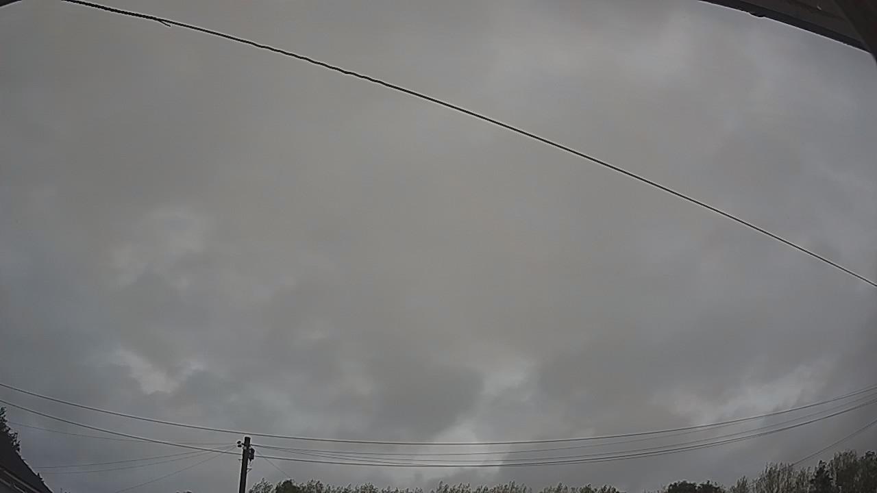 20260818_053145_cam2.jpg