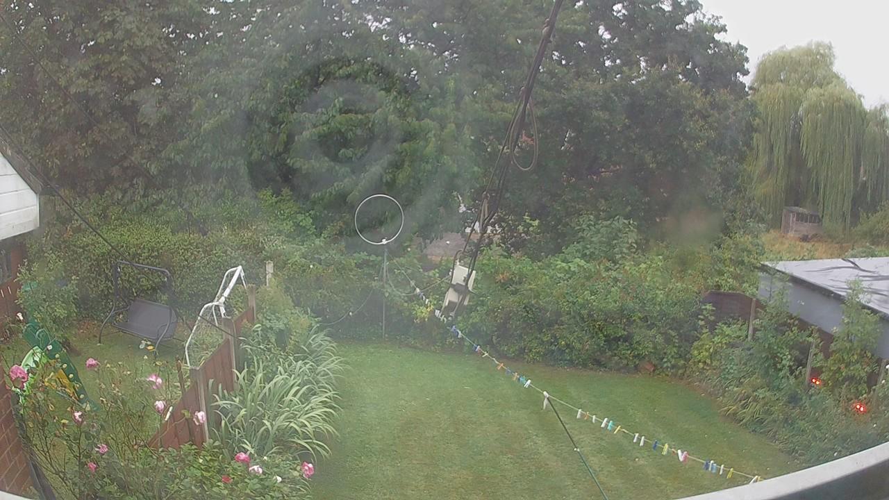 20260818_053908_cam1.jpg