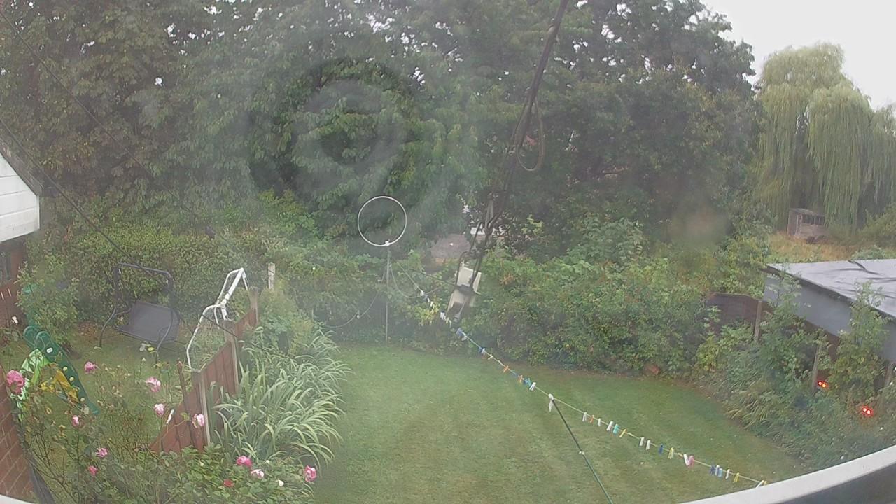 20260818_054250_cam1.jpg