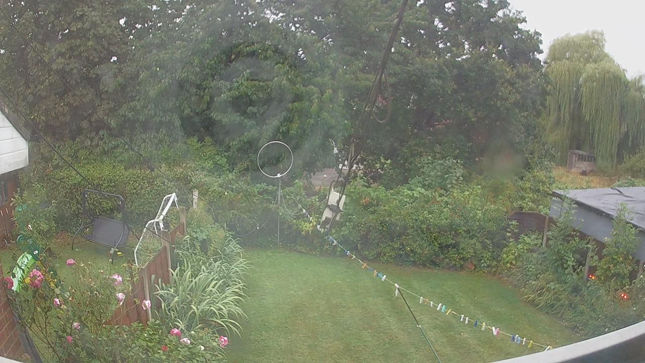 20260818_055014_cam1.jpg
